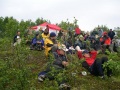 Samling